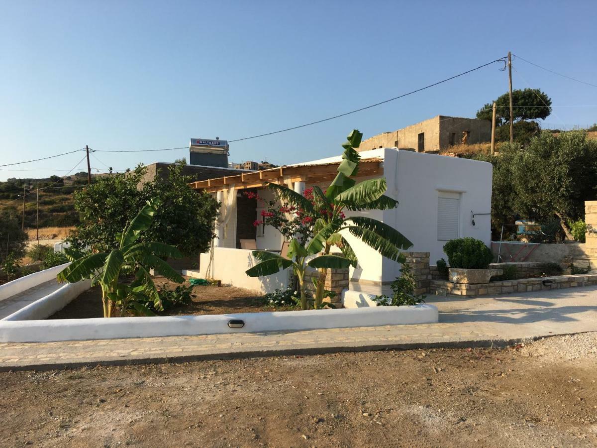 Villakia Katerina İİlipsi Dış mekan fotoğraf