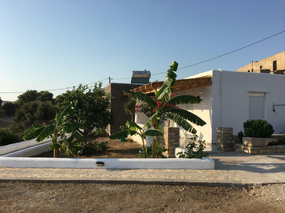 Villakia Katerina İİlipsi Dış mekan fotoğraf